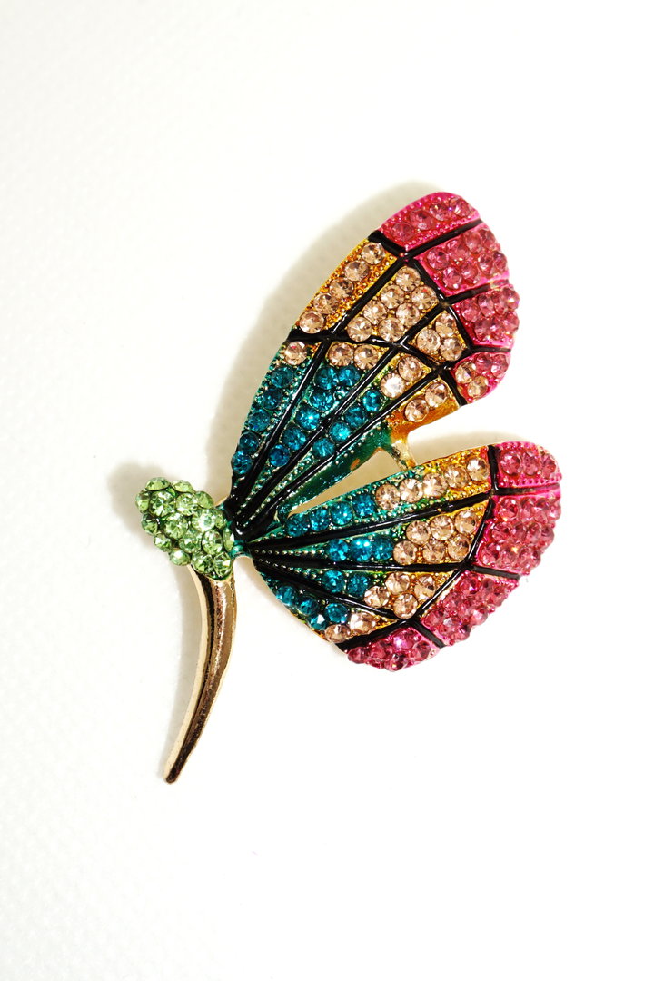 Brosche in buntem Schmetterlings-Design
